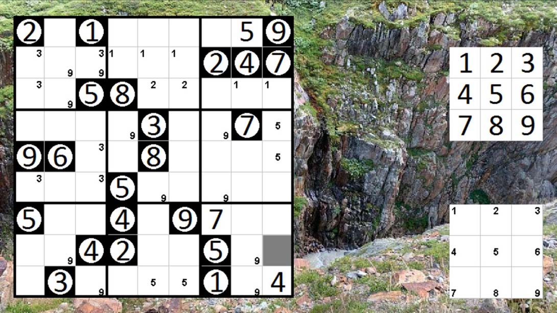 Logic Puzzle Collection: Sudoku - Permudoku - Nonodoku截图