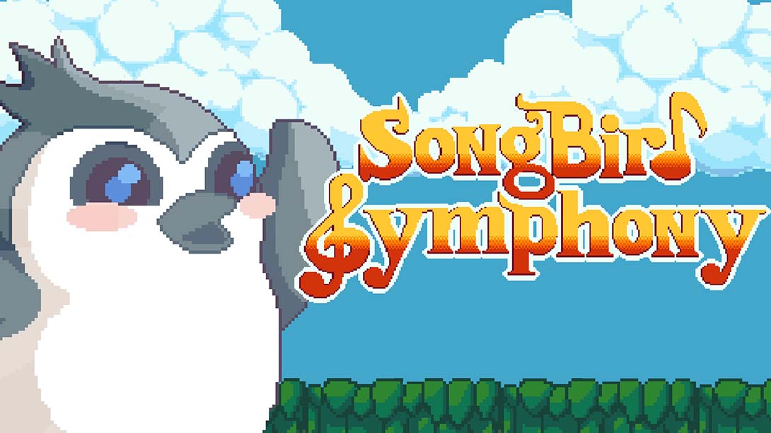 鸟之交响乐 Songbird Symphony