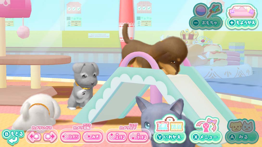 汪喵宠物店 与可爱宠物相伴的每一天 Wannyan Pet Shop Kawaii Pet...截图