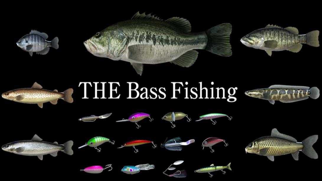 路亚钓鲈 THE Bass Fishing