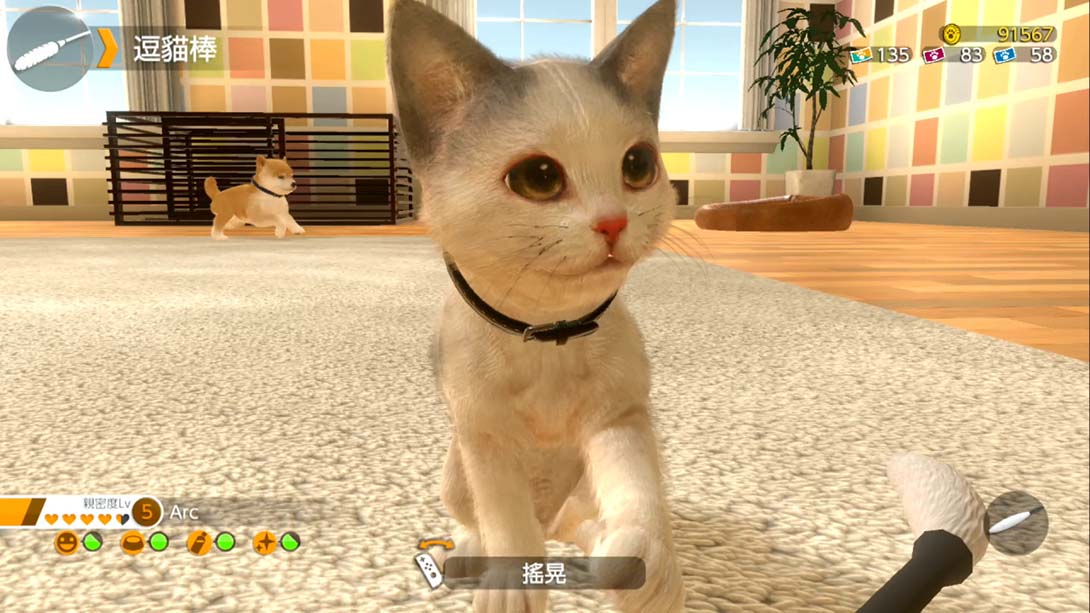 小小伙伴：狗狗与猫猫.LITTLE FRIENDS -DOGS & CATS-截图