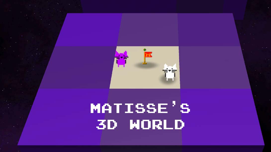 Matisse's 3D World