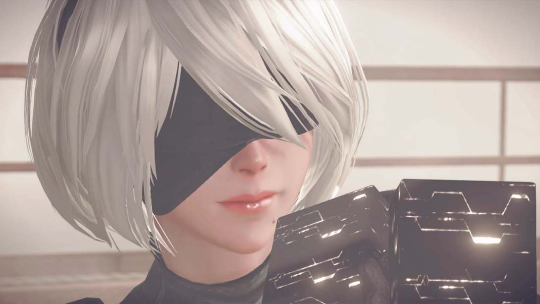 尼尔:自动人形 机械纪元 NieR:Automata The End of YoRHa Edition截图